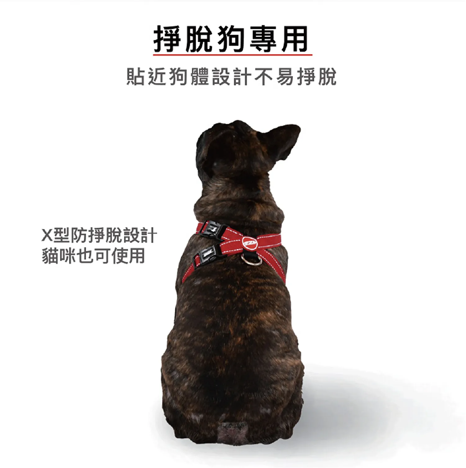 狗體工學胸背帶