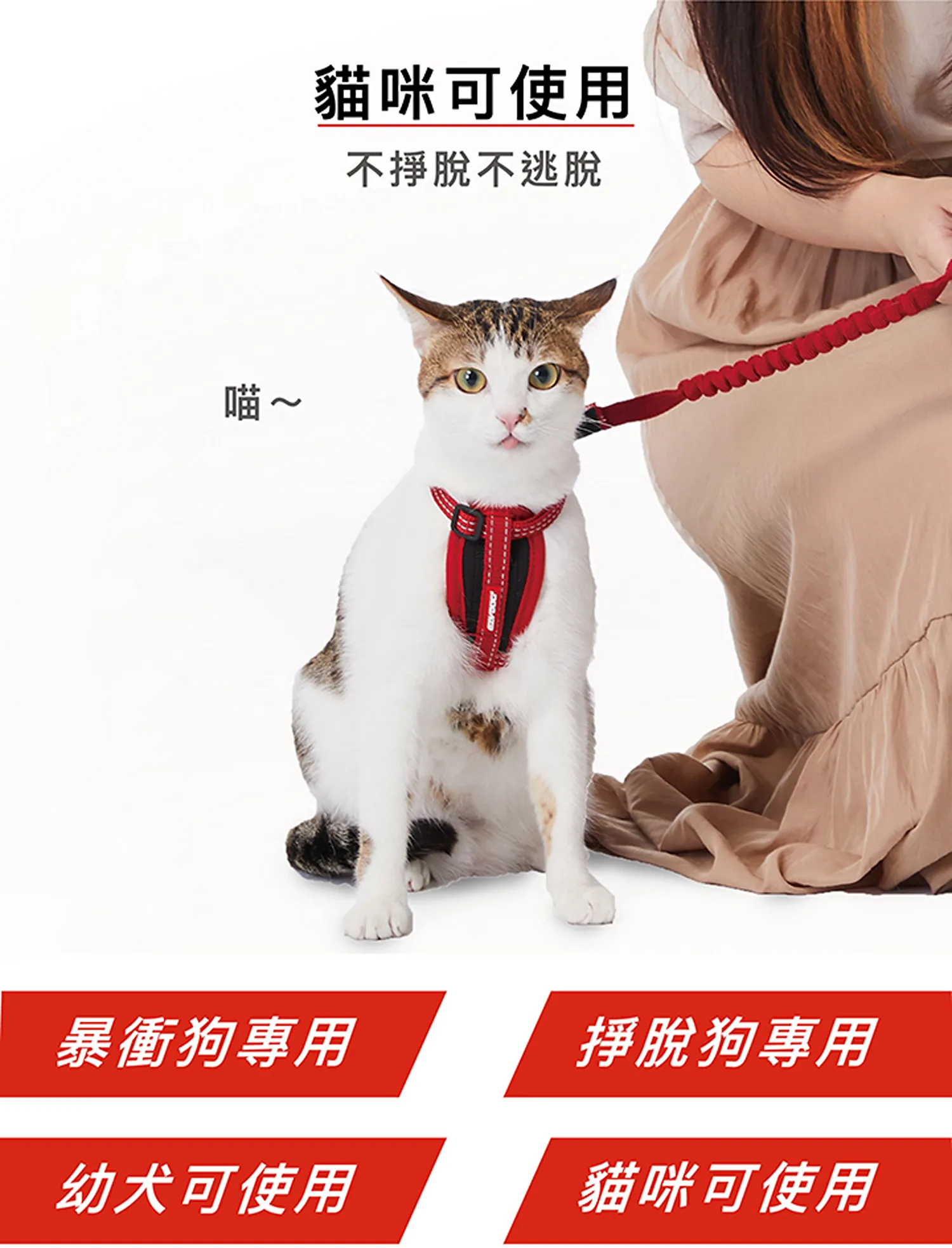 狗體工學胸背帶