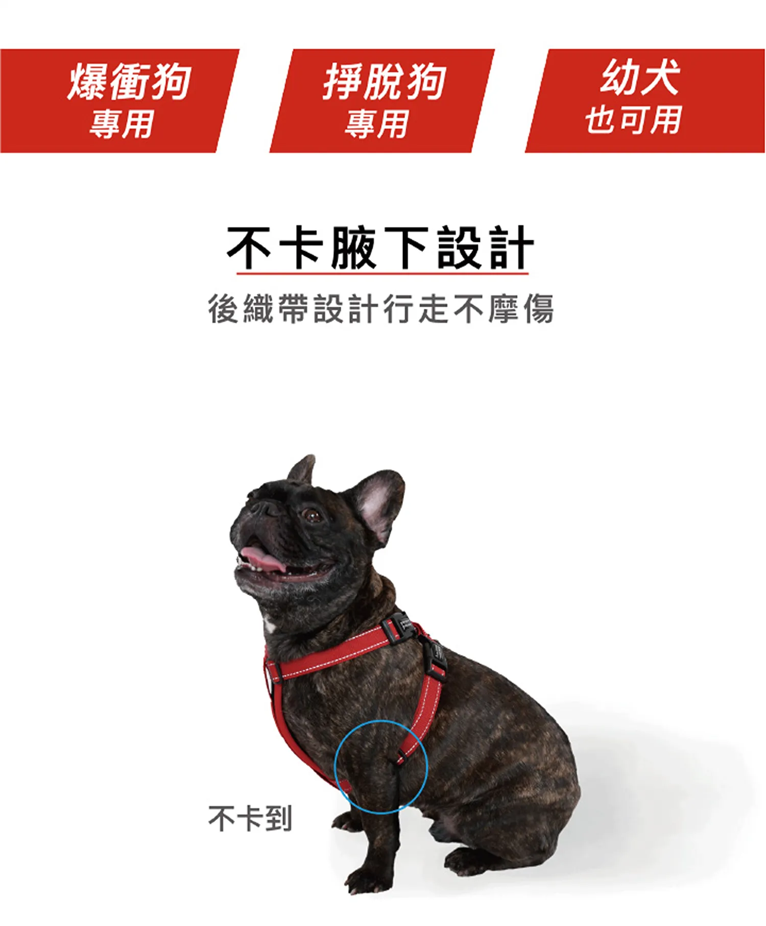 狗體工學胸背帶