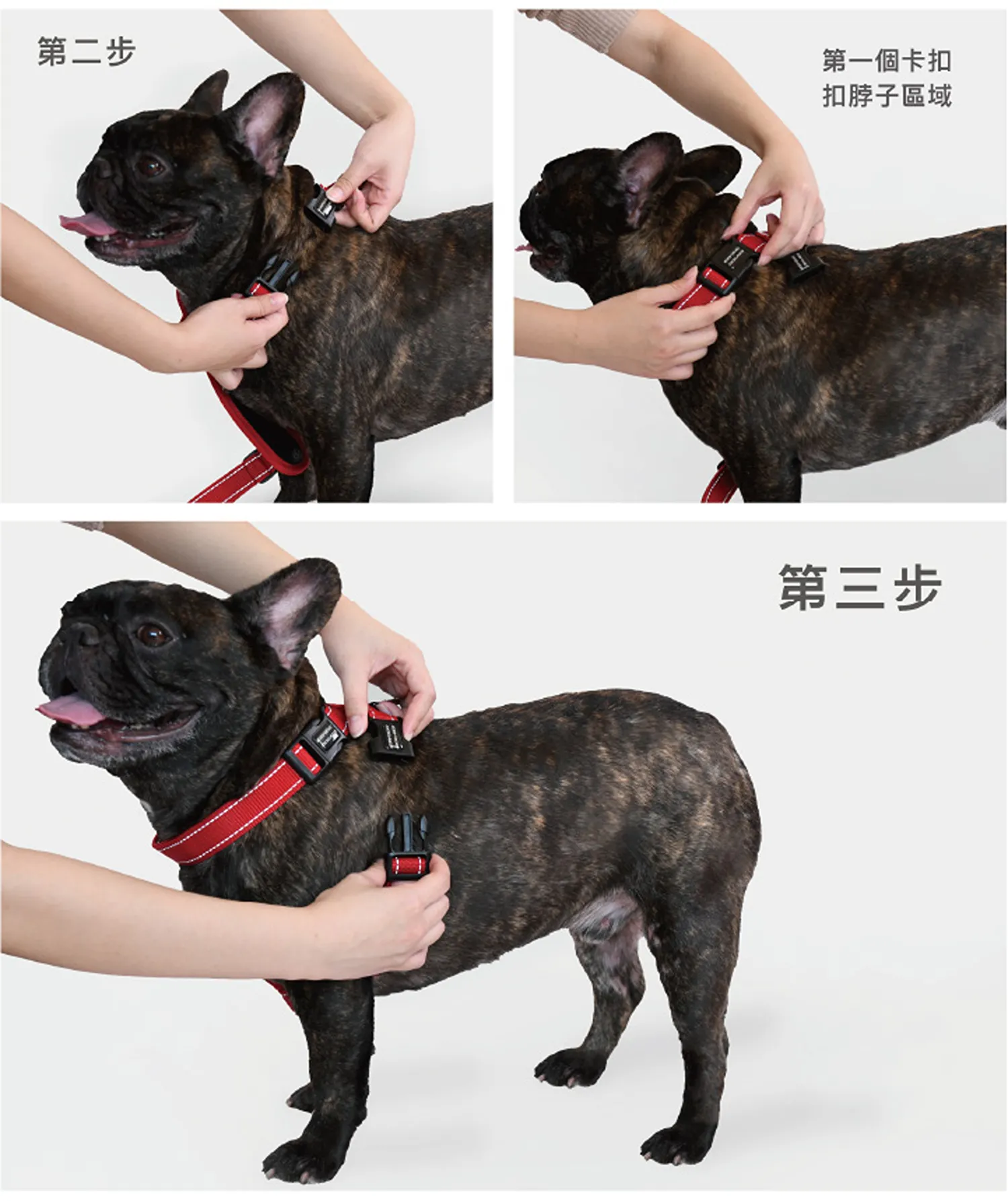 狗體工學胸背帶
