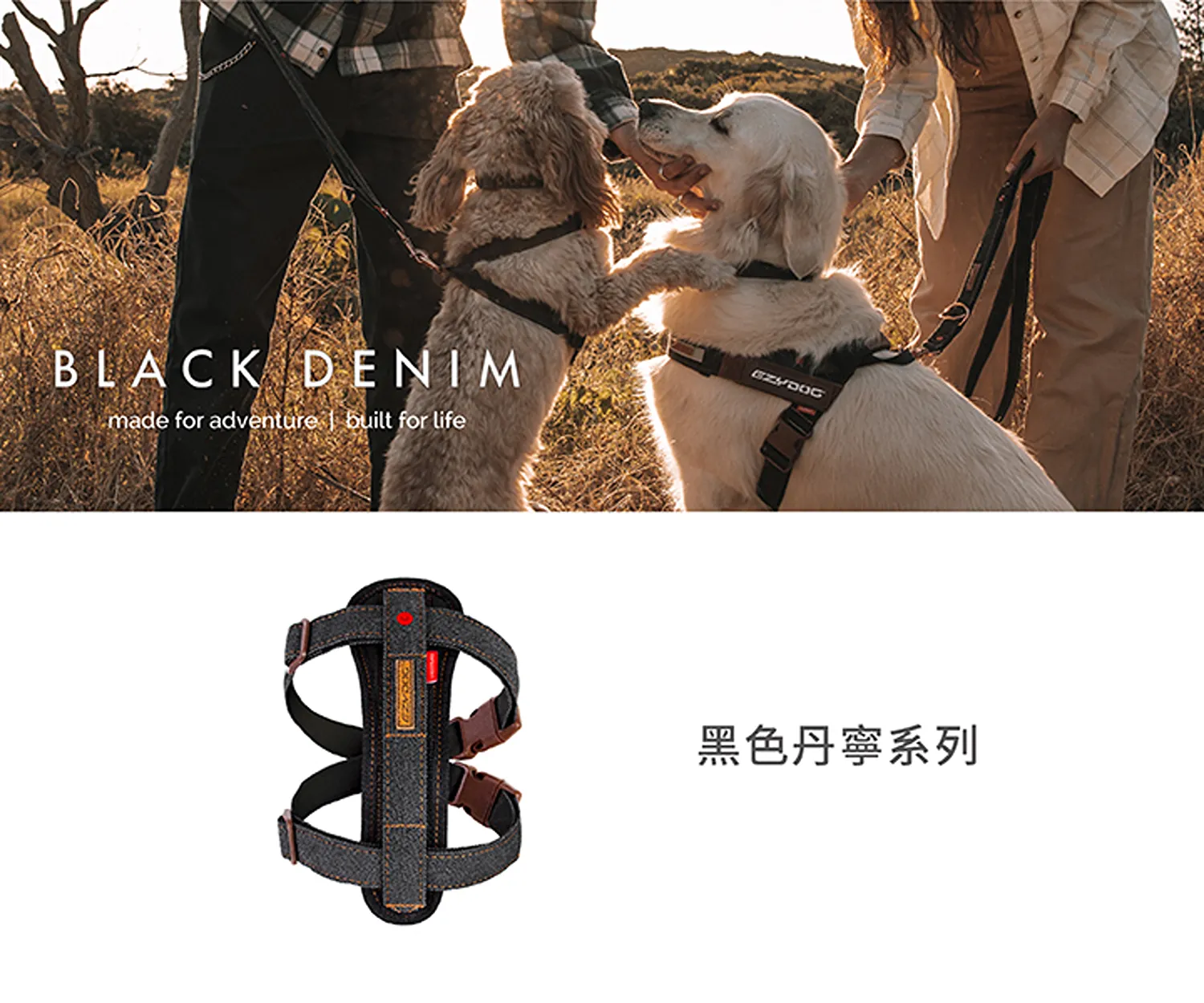 狗體工學胸背帶