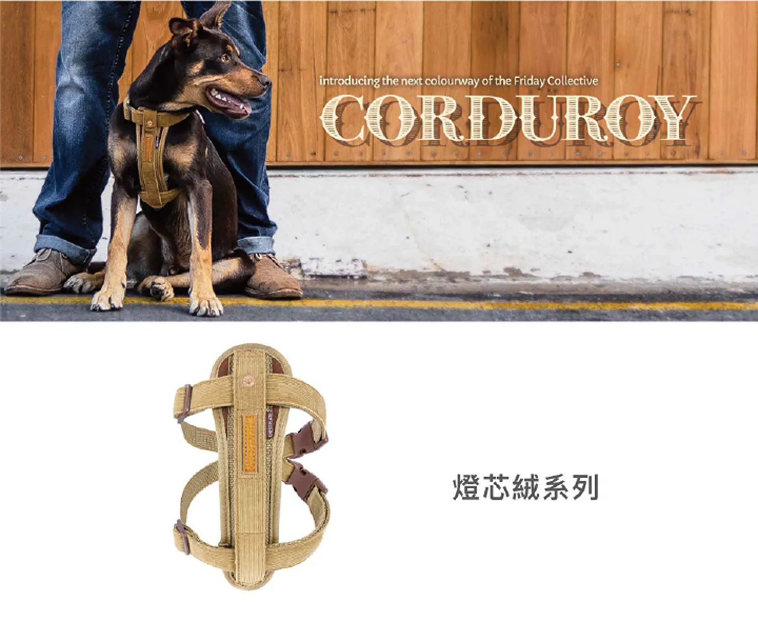 狗體工學胸背帶