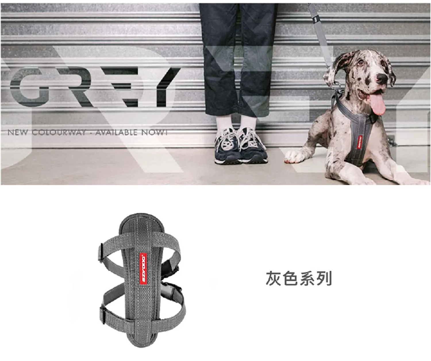 狗體工學胸背帶