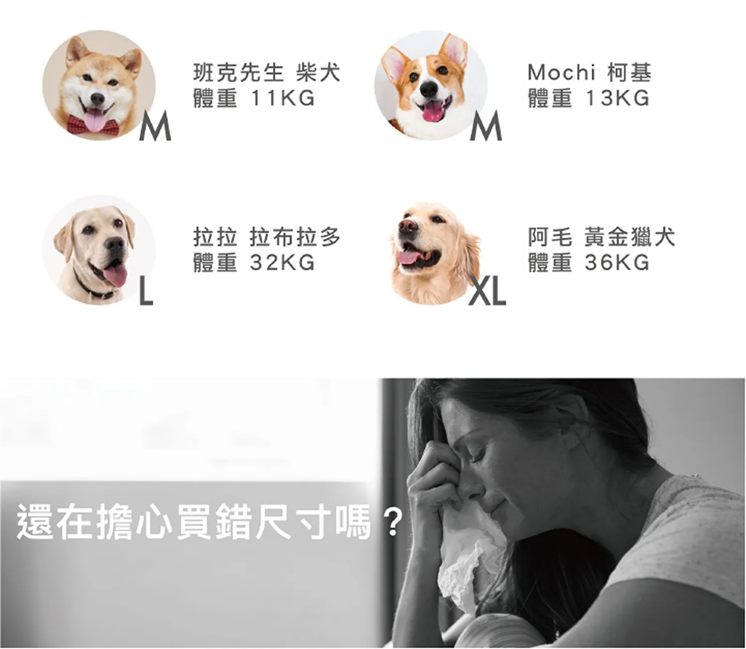 狗體工學胸背帶