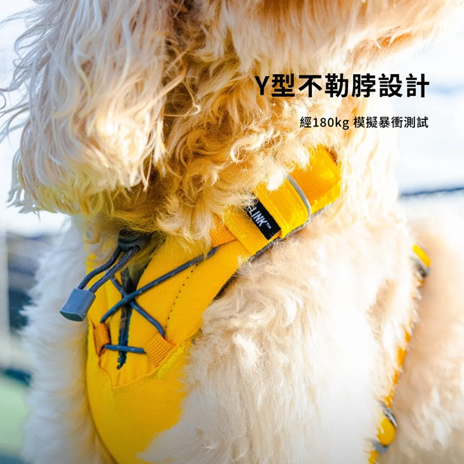 Y-LINK 零壓迫胸背帶