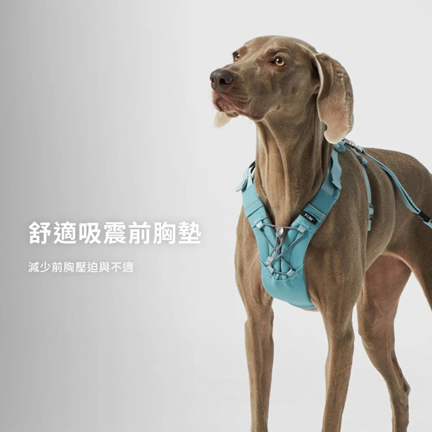 Y-LINK 零壓迫胸背帶