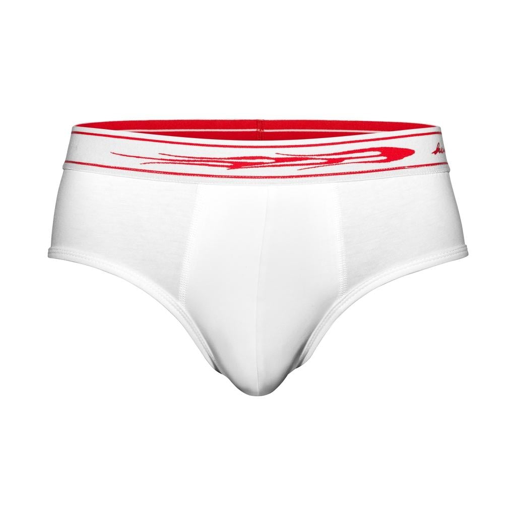 HSUNAMÏ FLAME BRIEFS