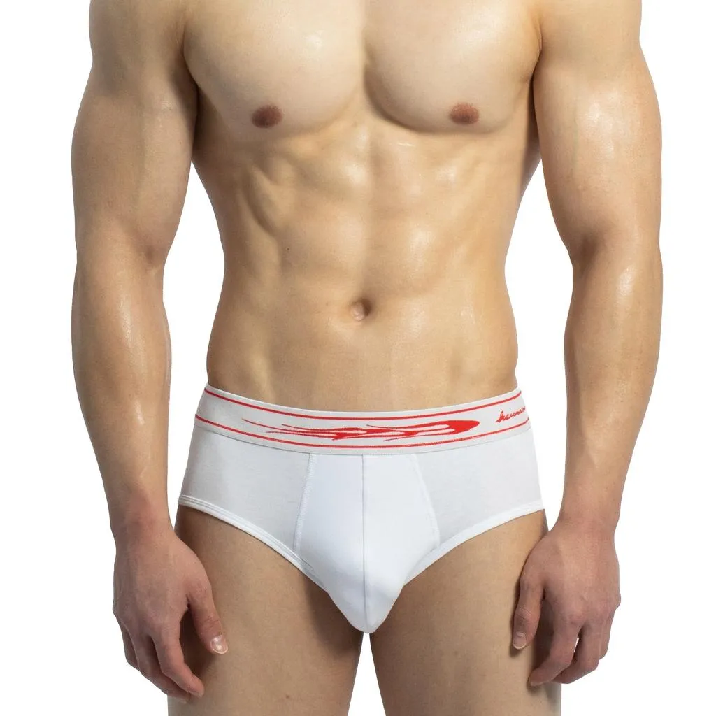 HSUNAMÏ FLAME BRIEFS