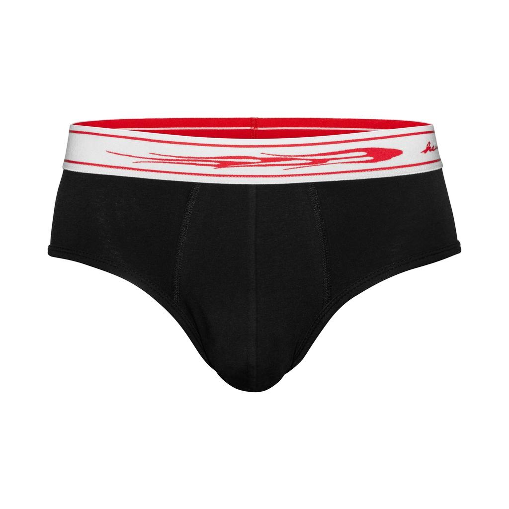 HSUNAMÏ FLAME BRIEFS