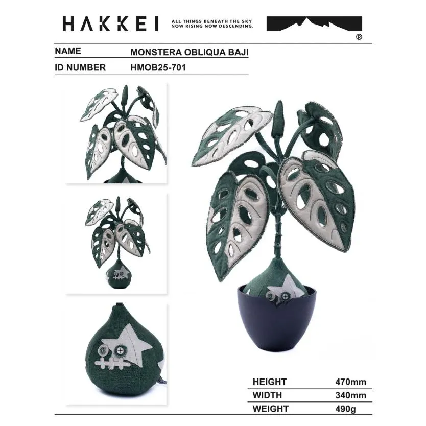 HAKKEI 孔窗龜背芋八吉