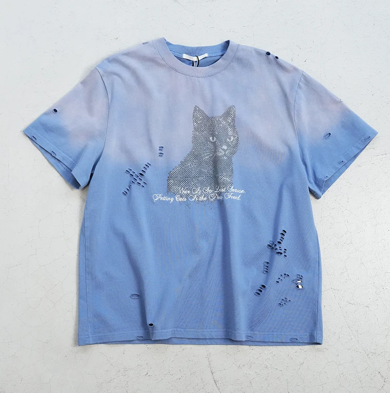 ASTER Black Cat Washed Tee