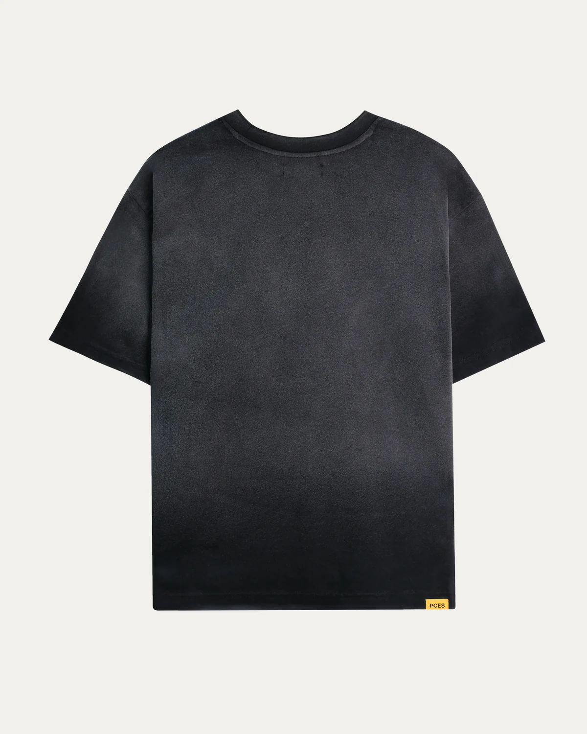 PCES 05 Sinister Washed Tee