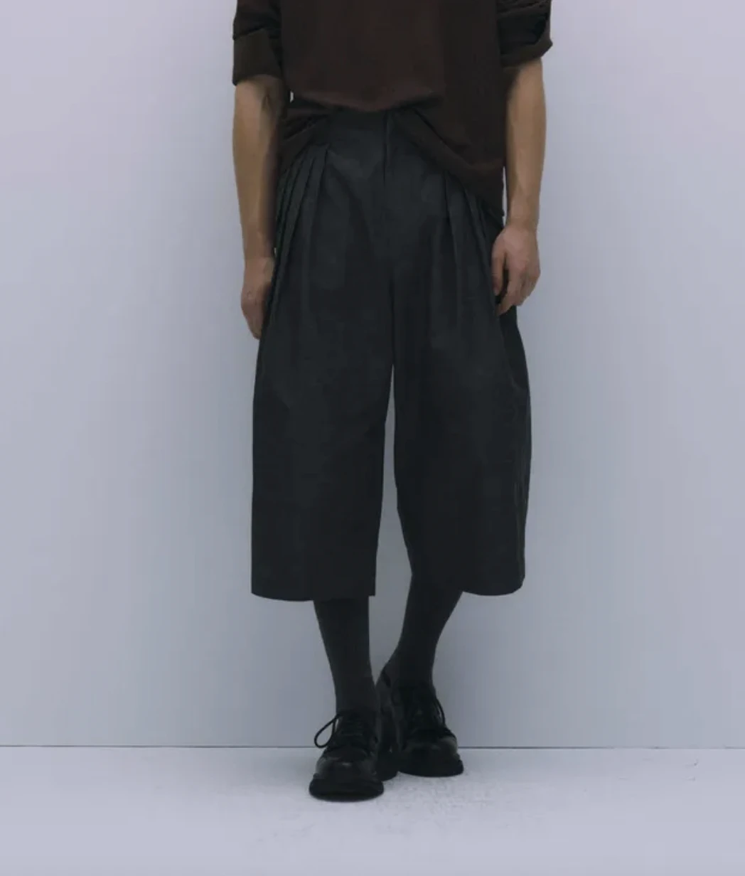 ASTER Triple pleated Cropped Pants