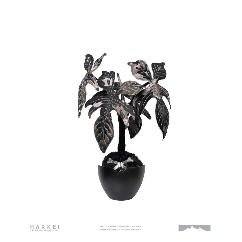 HAKKEI 龍爪蔓綠絨