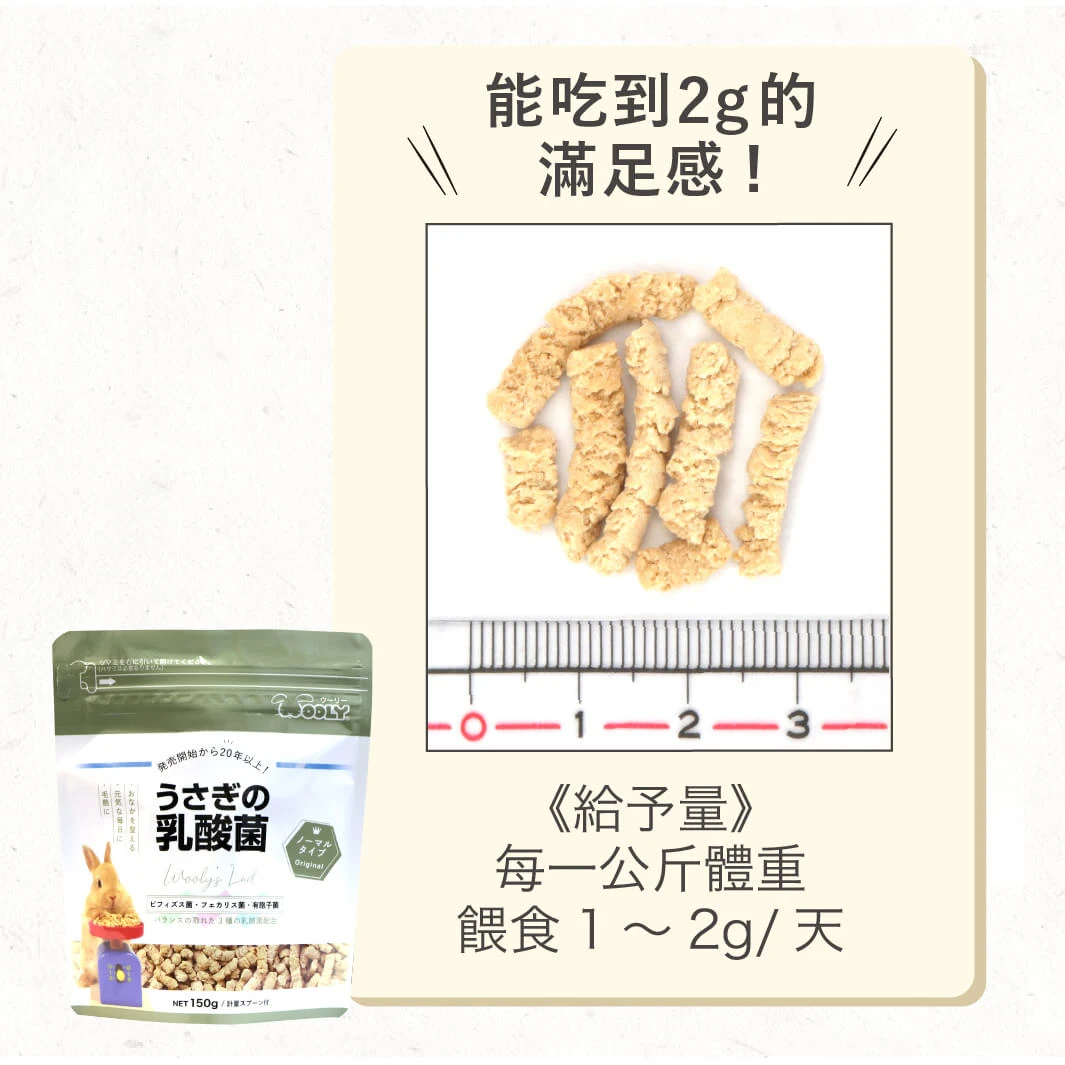 Wooly 乳酸菌