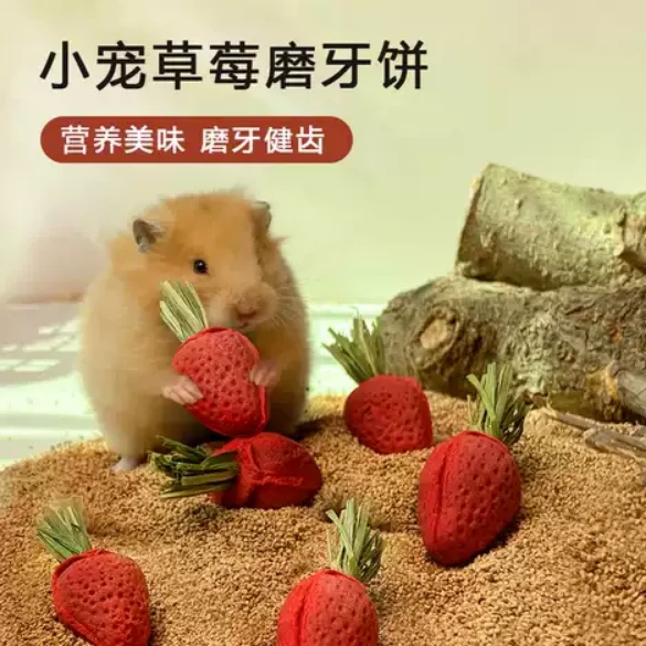 寵物鼠用迷你草莓造型磨牙點心