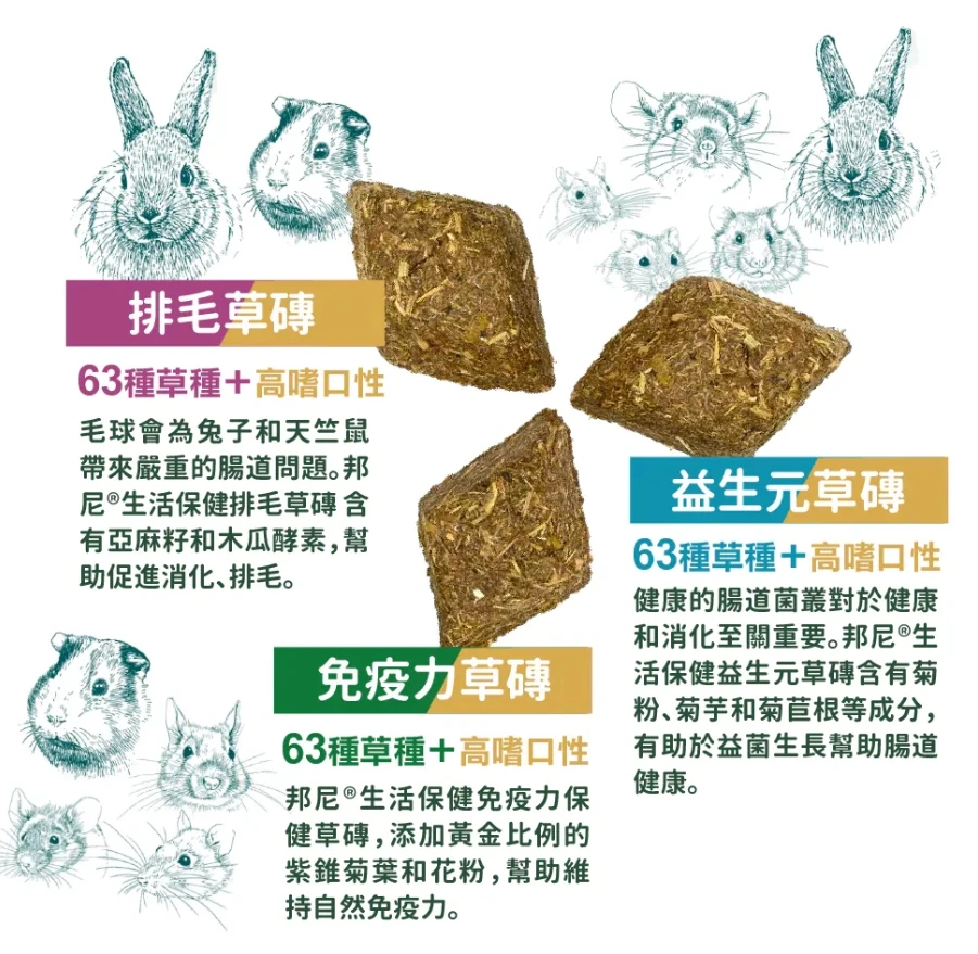 Bunny邦尼生活保健-益生元草磚/免疫力保健草磚/排毛草磚