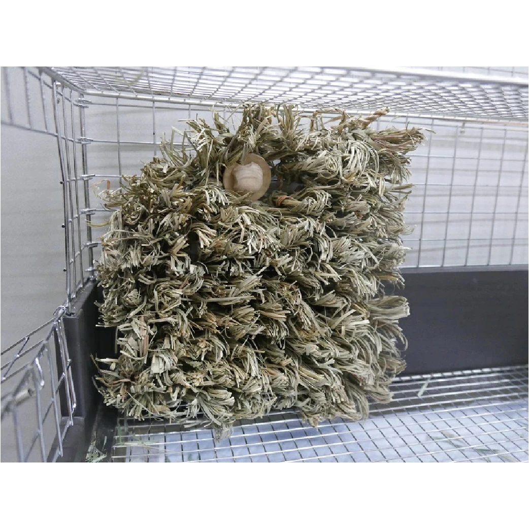 KAWAI 提摩西覓食遊戲草墊