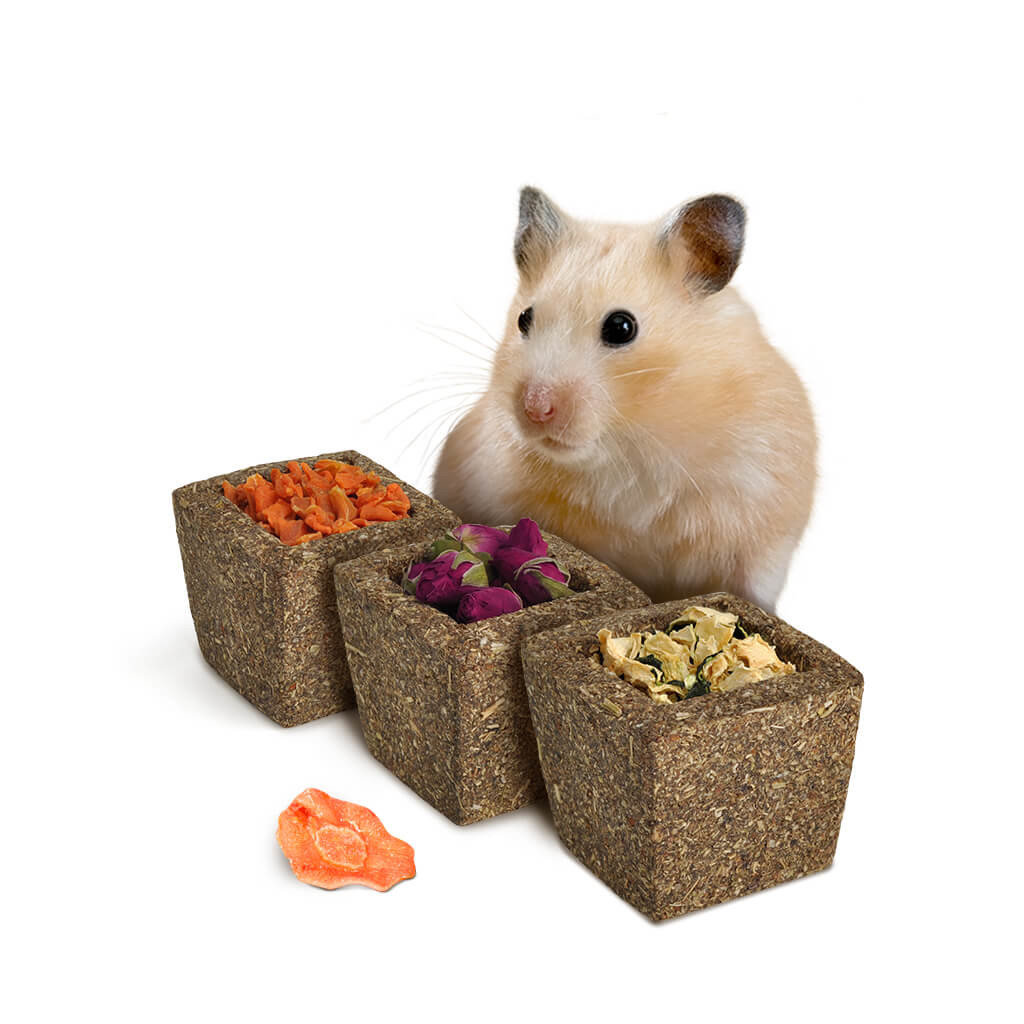 little one小花園磨牙零食玩具