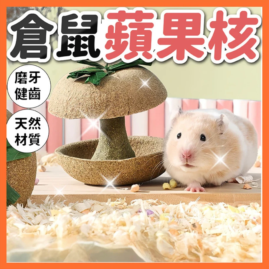 寵物鼠蘋果核造型磨牙啃咬點心