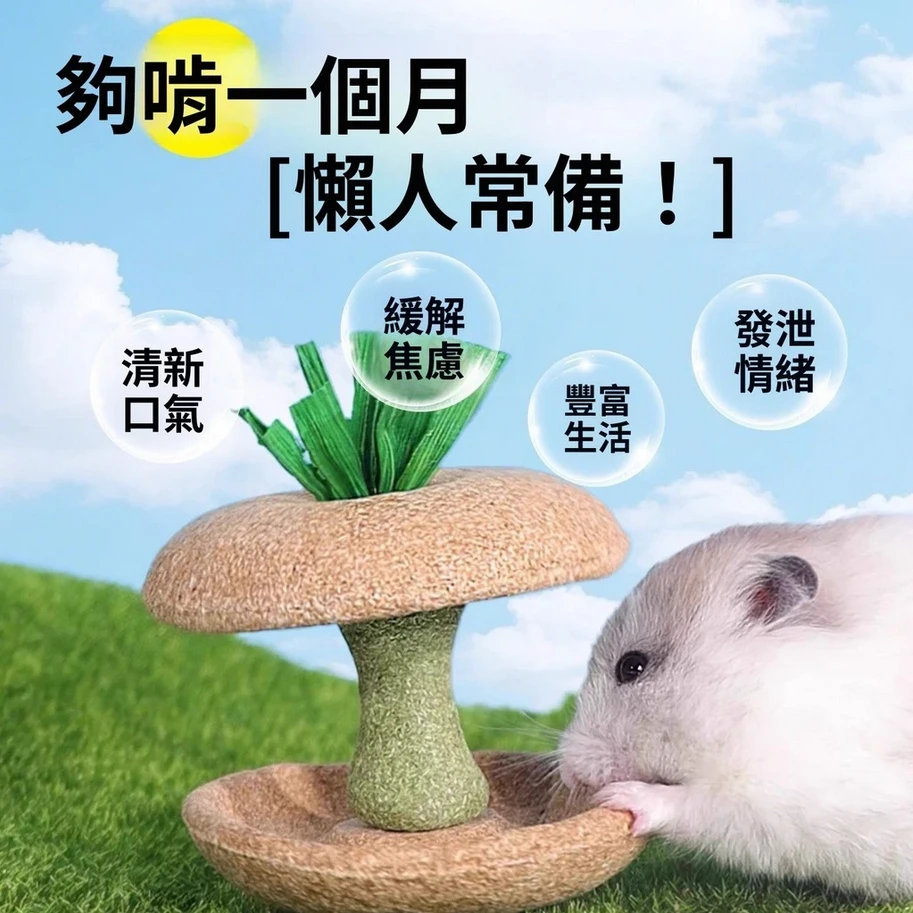寵物鼠蘋果核造型磨牙啃咬點心