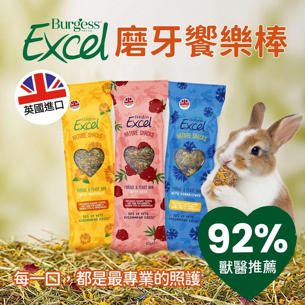 Burgess伯爵磨牙饗樂棒