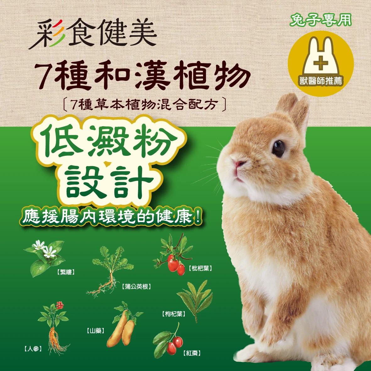 GEX彩食健美 腸道菌均衡餐