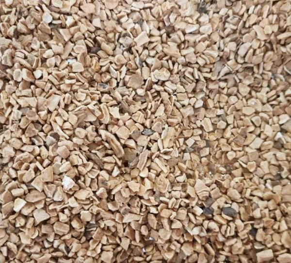 ACEPET艾思沛 森菌淨(R)小森核桃砂1500g