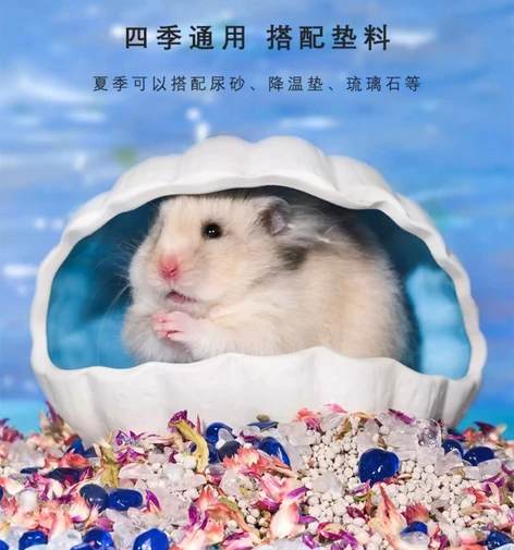寵物鼠用貝殼造型陶瓷窩