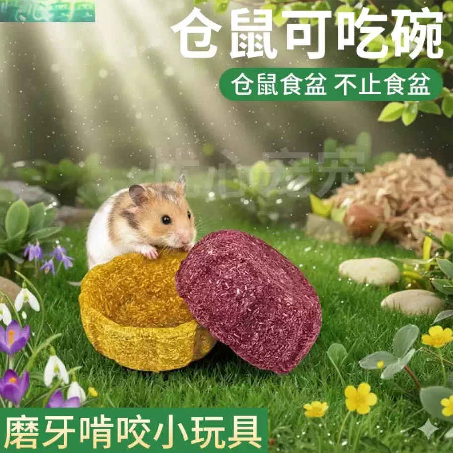 寵物鼠用磨牙啃咬玩具碗