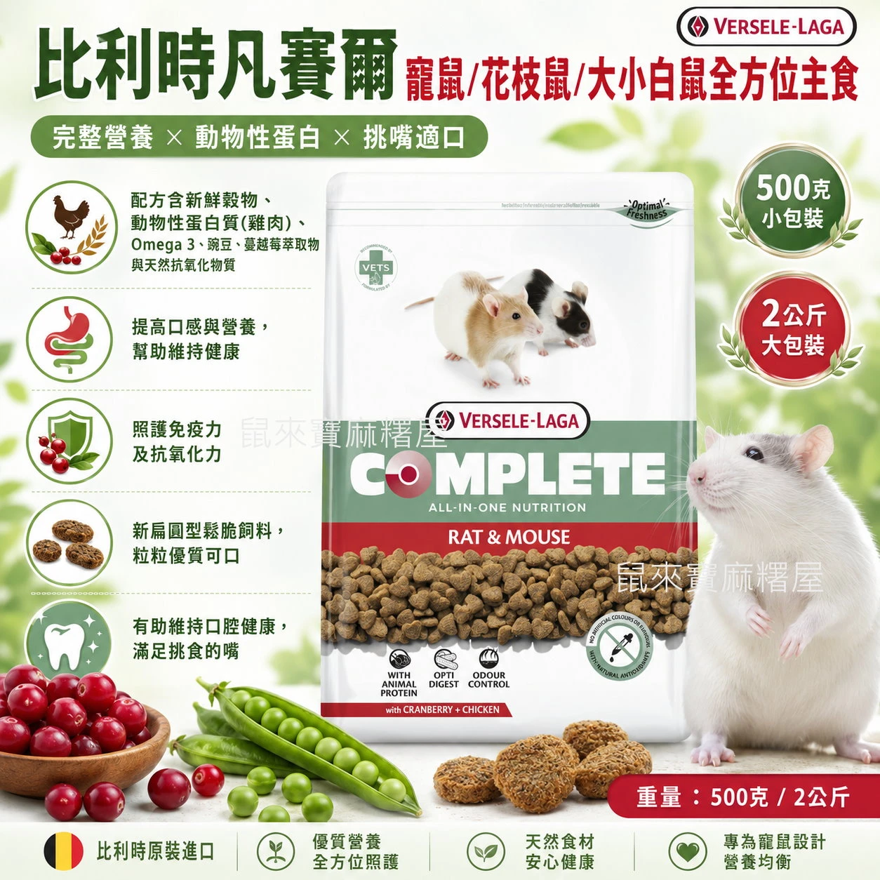 比利時 凡賽爾寵鼠/花枝鼠/大小白鼠全方位主食