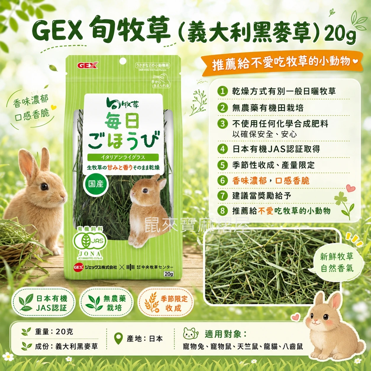 GEX(義大利黑麥草)旬牧草20g