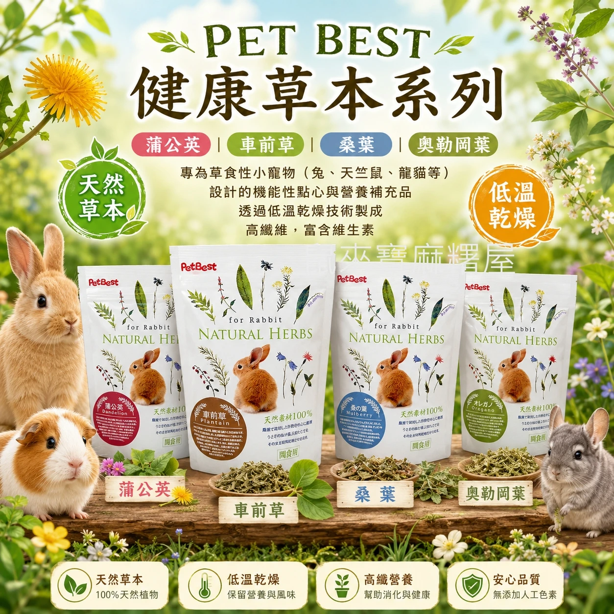 PET BEST 健康草本系列 蒲公英/車前草/桑葉/奧勒岡葉