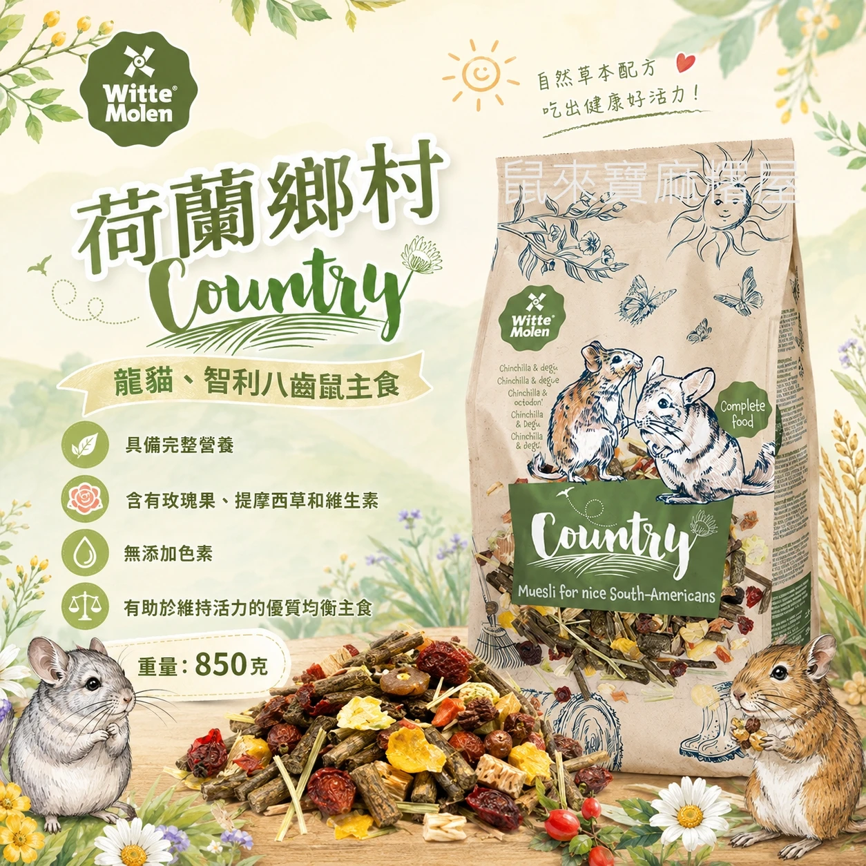 荷蘭鄉村Country 龍貓、智利鼠八齒鼠主食