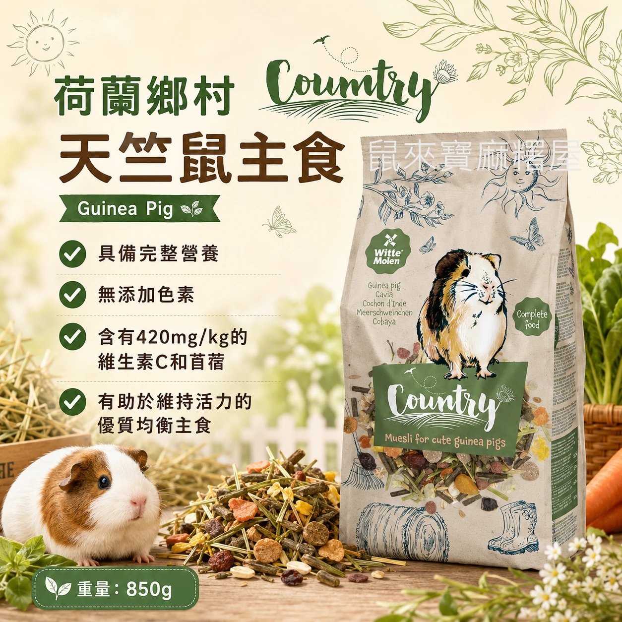 荷蘭鄉村Country 天竺鼠主食