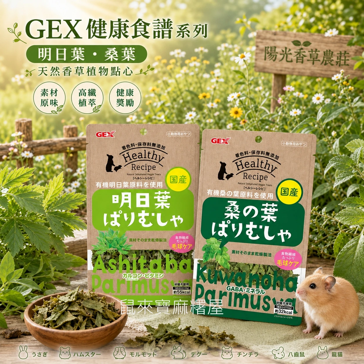 GEX健康食譜 有機明日葉/有機桑葉