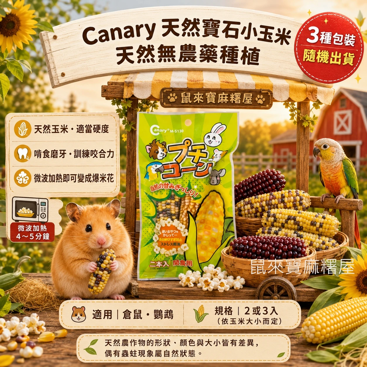 Canary天然寶石小玉米