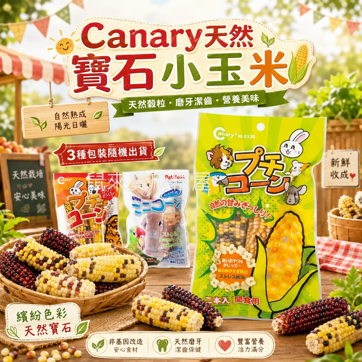 Canary天然寶石小玉米