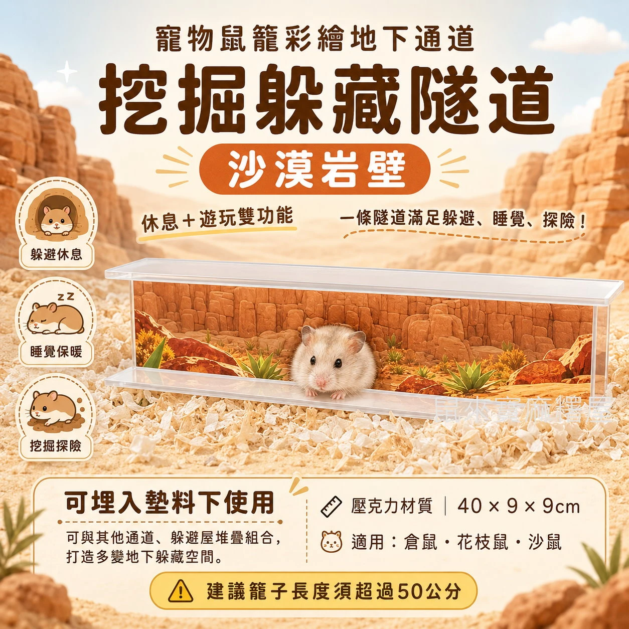寵物鼠籠內彩繪地下通道、挖掘躲藏隧道(沙漠岩壁)