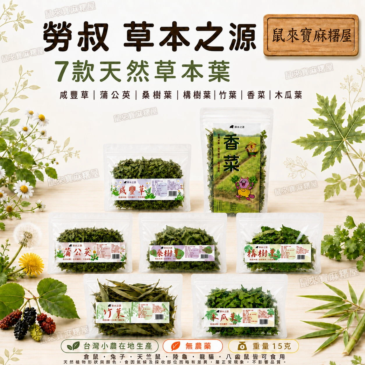 勞叔 草本之源-咸豐草/蒲公英/桑樹葉/構樹葉/竹葉/香菜/木瓜葉