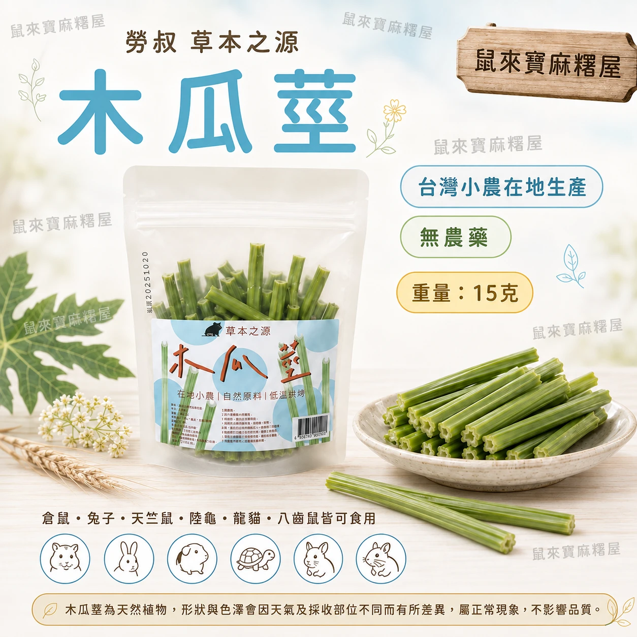 勞叔 草本之源-木瓜莖