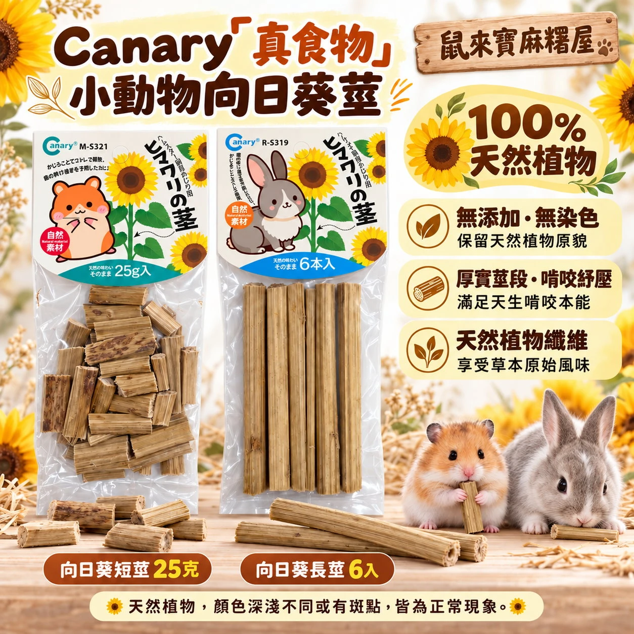 Canary「真食物」小動物向日葵莖
