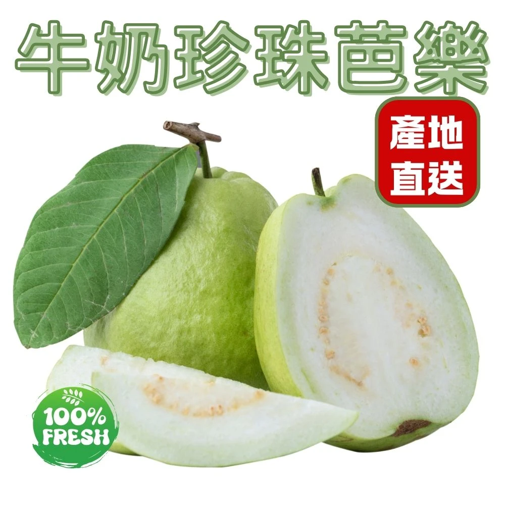 牛奶珍珠芭樂