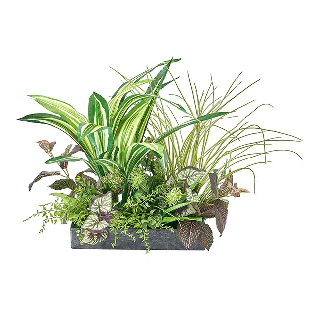 ZA-3006 綠植盆花-大