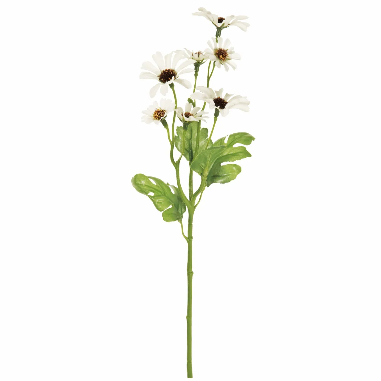 FM-955-001 重瓣小雛菊 奶油