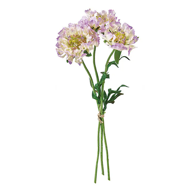 FM-9378-111 滾邊藍盆花/3入 白/淺紫