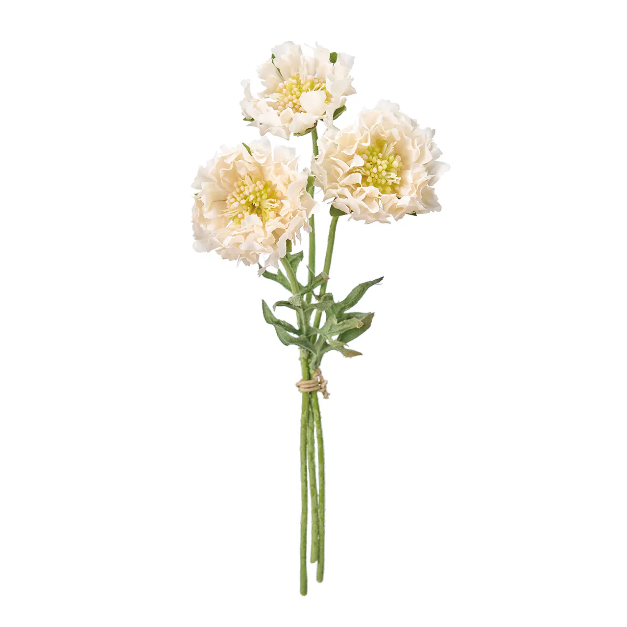 FM-9378-037 滾邊藍盆花/3入 奶油