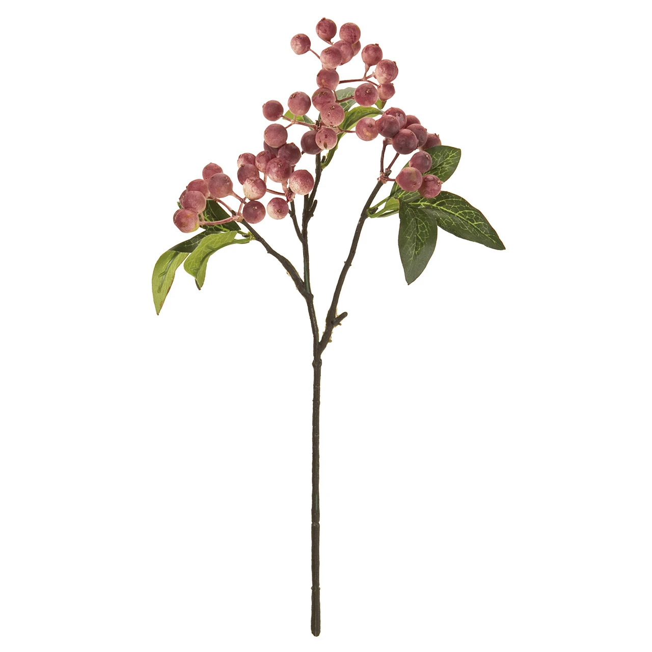 FM-7569-042 帶葉莓果 莓紅
