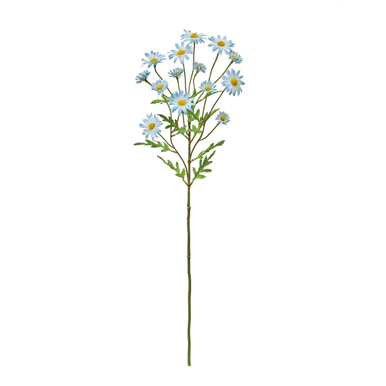 FM-693-005 多頭小雛菊 淺藍