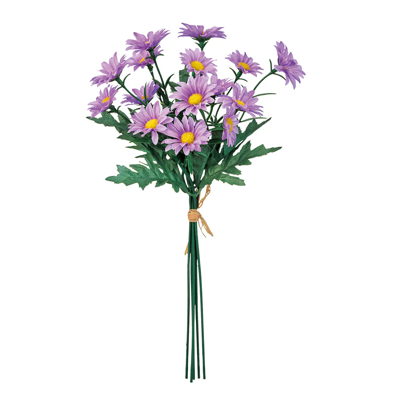 FM-5220-011 經典雛菊/5入 紫